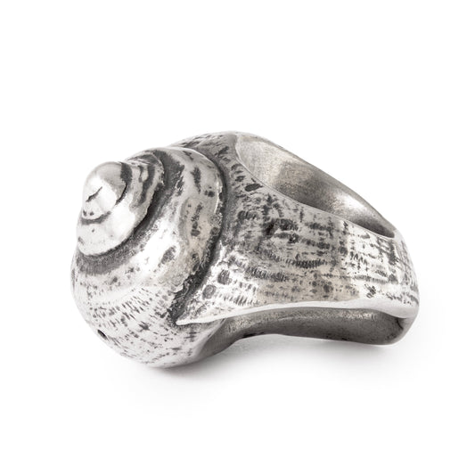 Fluistering van de Oceaan