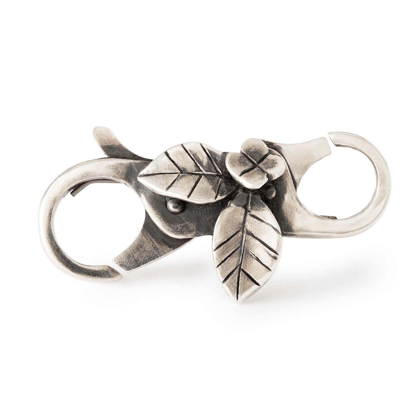 Tuin bij het meer sluiting