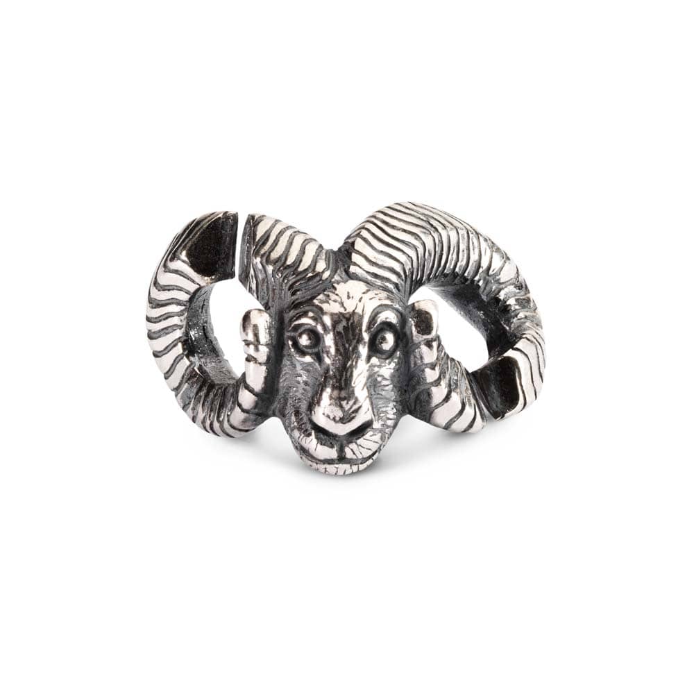Ram Aries Double Silver Link