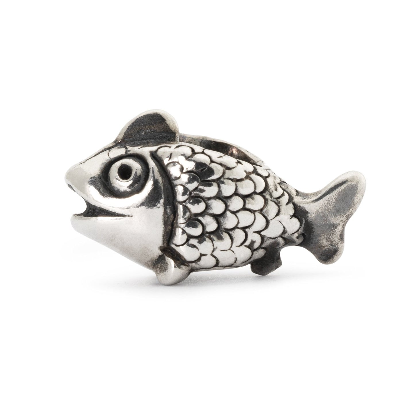 Fonkelende feeënbaars