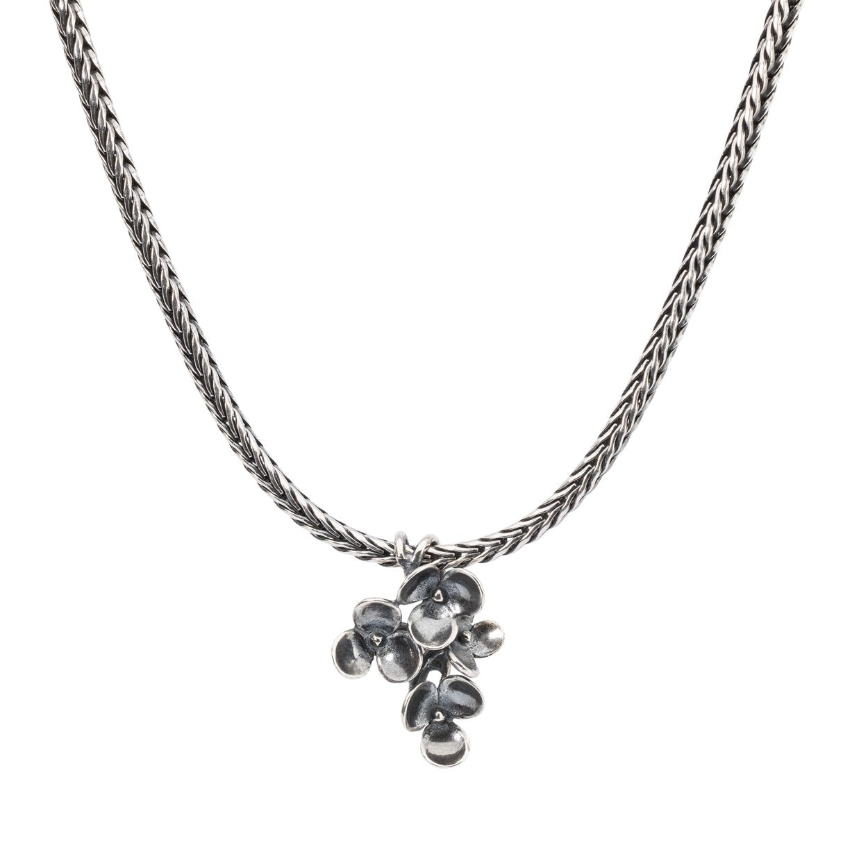 Bloeiend pijlkruid, hanger