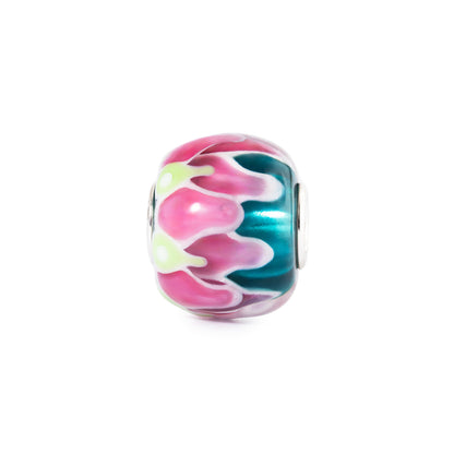 Moeders Lelie (Special edition)