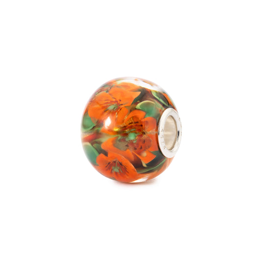 Bloemenziel (Special Edition)
