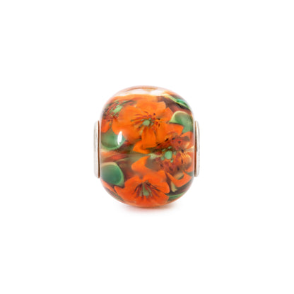 Bloemenziel (Special Edition)