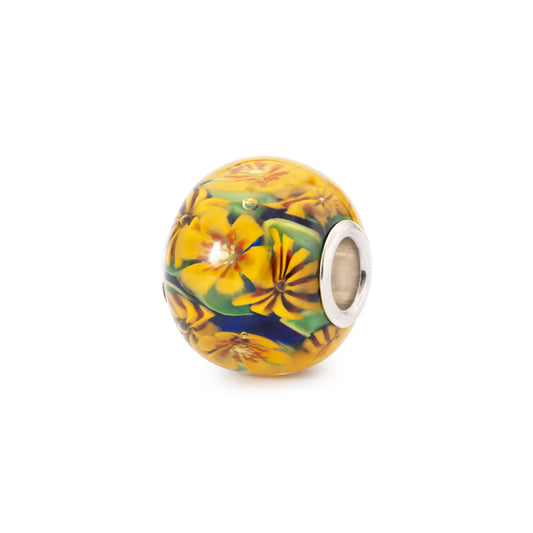 Bloemenkind (Special Edition)