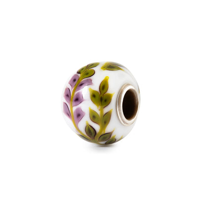 Paarse lavendel