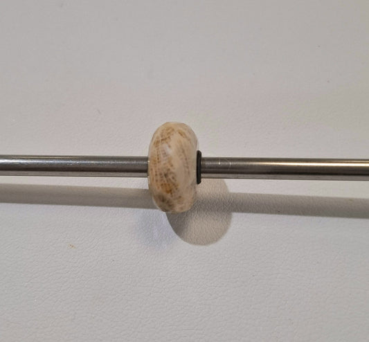 Special Unique Coral Fossil Jasper TSTBE-00008-03