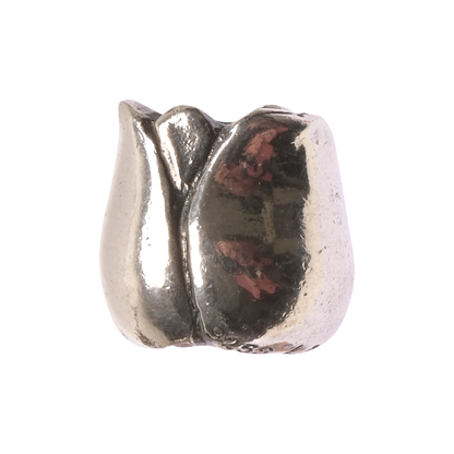 Tulp, zilver
