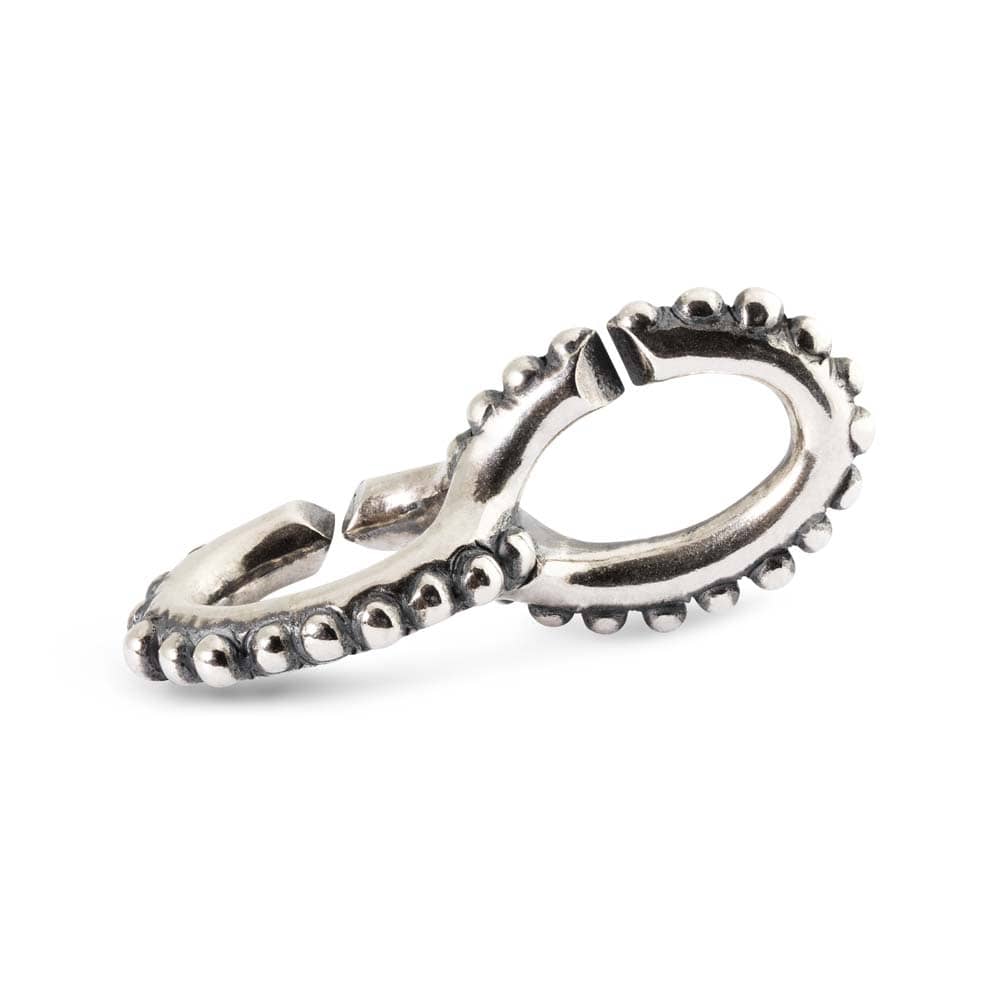 Order in chaos double silver link