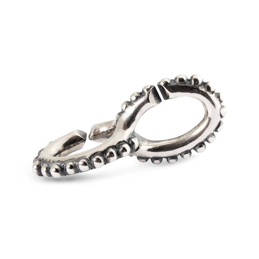 Order in chaos double silver link