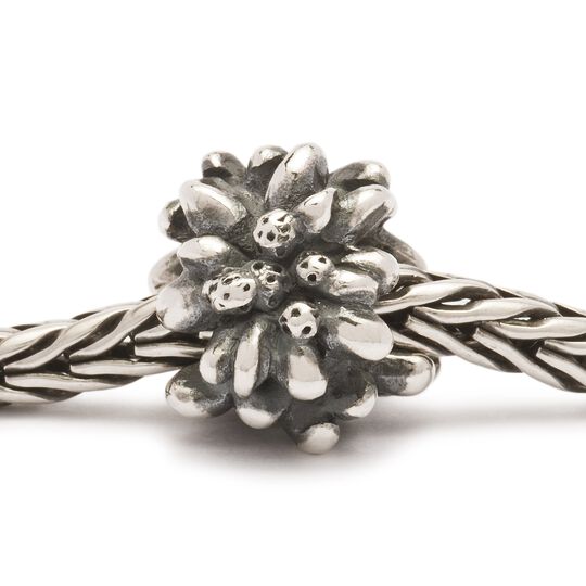 Edelweiss