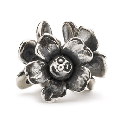 Opgewekte bloem