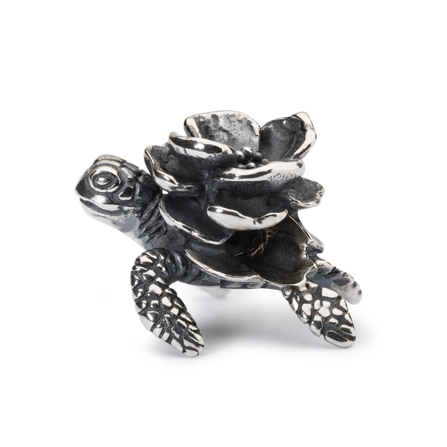 Schildpadbloem