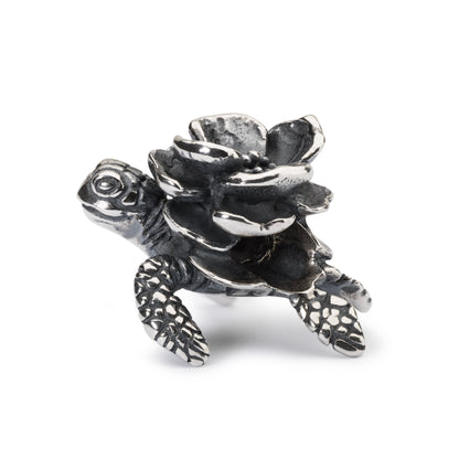 Schildpadbloem