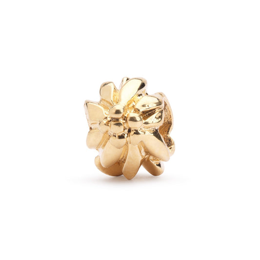 Gouden bergbloem