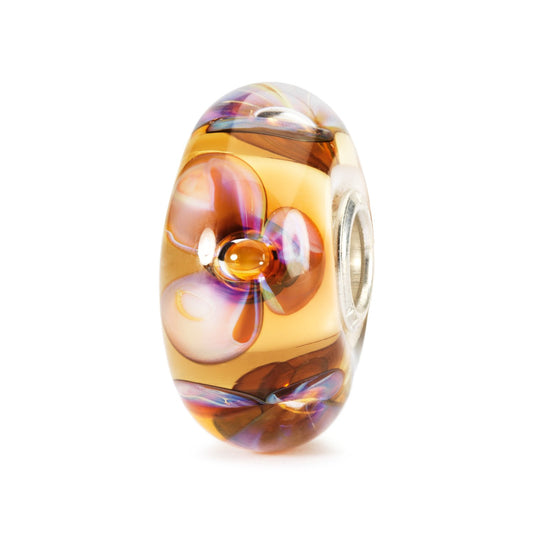 Amber viooltjes