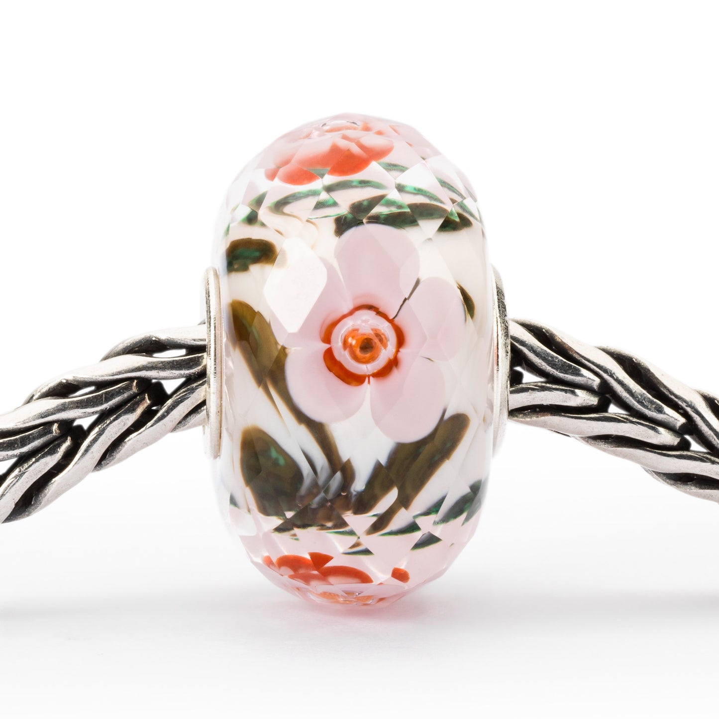 Vrolijke bloemen (Special Edition)