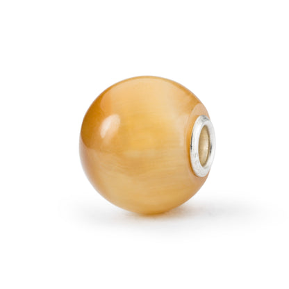 Jumbo rond kattenoog