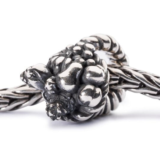 Hoorn des overvloeds